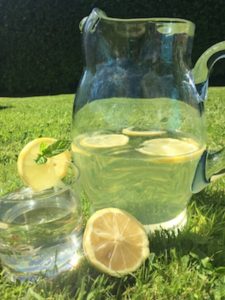 Lemonbalm & Mint Cordial