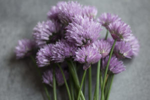 Linguine with Chive Blossoms